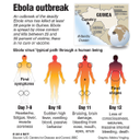 Erkrankungsverlauf von Ebola