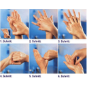 Die hygienische Händedesinfektion in sechs Schritten